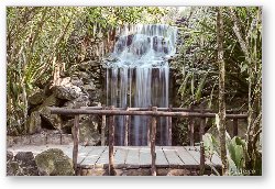 License: Waterfall (Chankanaab Nature Park)