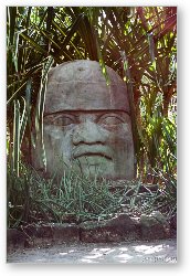License: Giant Mayan head sculpture (Chankanaab Nature Park)