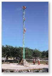 License: Performers high in the air  pole dancers?