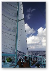 License: Sailing on the Reef Explorer catamaran