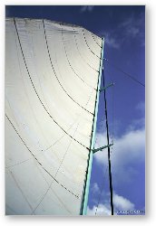 License: Sail of the Reef Explorer catamaran