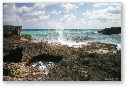 License: The Atlantic side of Cozumel is rocky with many natural bridges