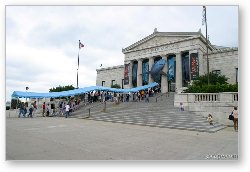 License: Lines at the Shedd for the new Wild Reef exhibit
