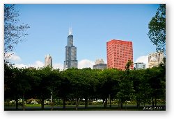 License: Sears Tower from Grant Park