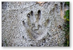 License: Hand print in cement