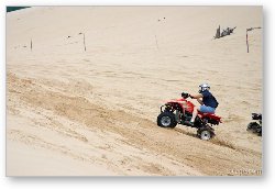 License: Quad ATV riding in dunes