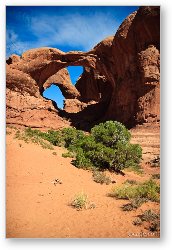 License: Double Arch