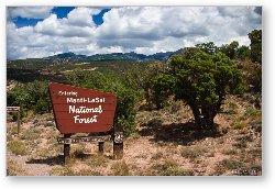 License: Manti-LaSal National Forest
