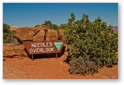 License: Needles Overlook