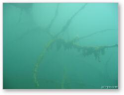 License: Some of the interesting things you can get stuck in under water