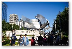 License: The Jay Pritzker Pavilion