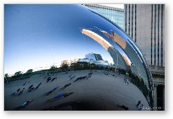 License: Reflections in the Bean