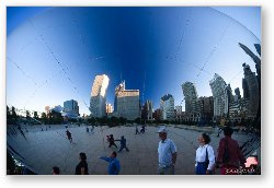 License: Reflections in the Bean