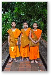 License: Three young Buddhist monks at a monastery in Chiang Mai, Thailand