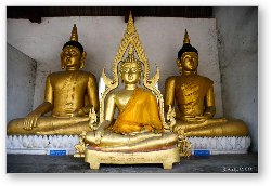 License: Buddhas near Wat Chedi Luang