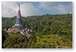 License: Doi Inthanon