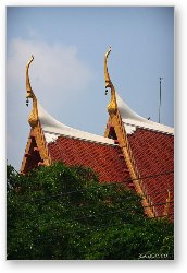 License: Temple roof
