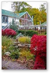 License: Rosemont Inn Resort - courtyard