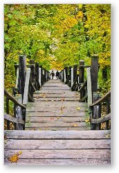 License: Long staircase down from Mount Baldhead