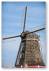 License: Dutch Windmill