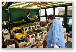 License: Flower market in the central square