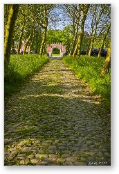 License: Cobblestone tree lined path to the Red Gate of the castle