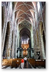 License: Towering groined ceiling in St Bavo Cathedral