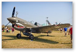 License: Curtiss P-40 Warhawk