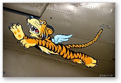 License: Flying Tiger on P-40 Warhawk