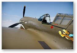 License: Curtiss P-40 Warhawk