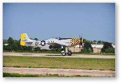 License: P-51 Mustang 'Cincinnati Miss'