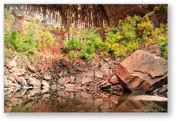 License: Upper Emerald Pools