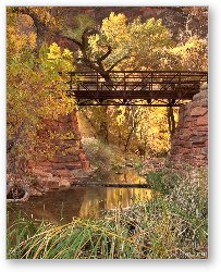 License: Zion Bridge