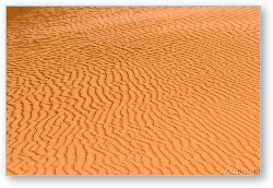 License: Sand ripples on the dunes