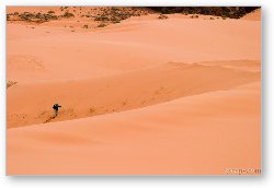 License: Photographer hiking the dunes