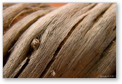 License: Macro of a tiny piece of drift wood