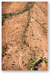 License: Aerial photo of Jeep trails in the desert