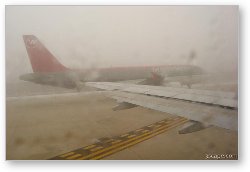 License: Thick fog at the airport delayed our flight two hours