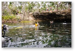 License: Swimmers and divers at Garden of Eden Cenote