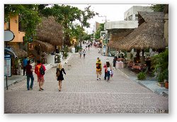 License: Fifth Avenue (Quinta Avenida), the main drag in Playa Del Carmen