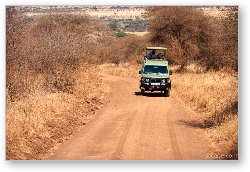 License: Toyota Land Cruiser - the trusty safari vehicle