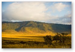 License: Ngorongoro Crater rim