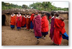 License: Group of Maasai women welcoming us to their village