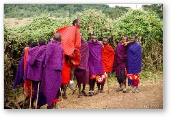 License: Maasai men performing a welcome dance