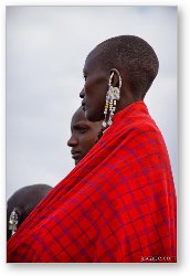 License: Maasai women