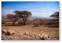 License: Serengeti terrain changes