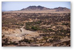 License: Dirt road leading into Oldupai Gorge