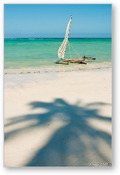 License: Zanzibar Beach