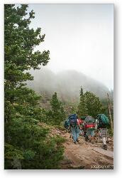 License: Hikers on a foggy day