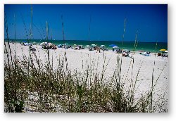 License: One of the beaches on Sanibel